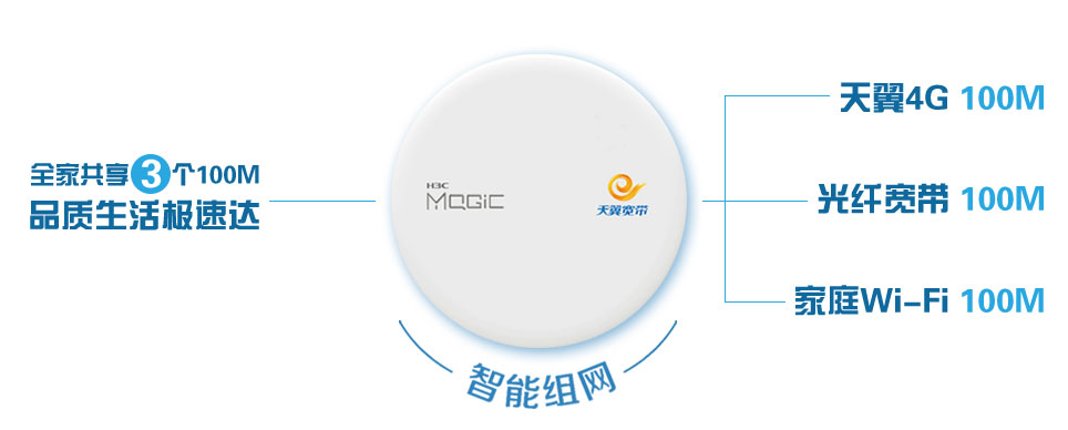 上海電信智能組網業務介紹